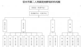 欽州市第二人民醫(yī)院黨群組織機(jī)構(gòu)圖