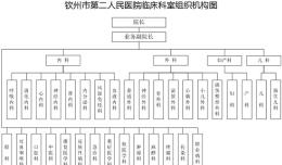 欽州市第二人民醫(yī)院臨床科室組織機(jī)構(gòu)圖