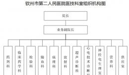 欽州市第二人民醫(yī)院醫(yī)技科室組織機(jī)構(gòu)圖